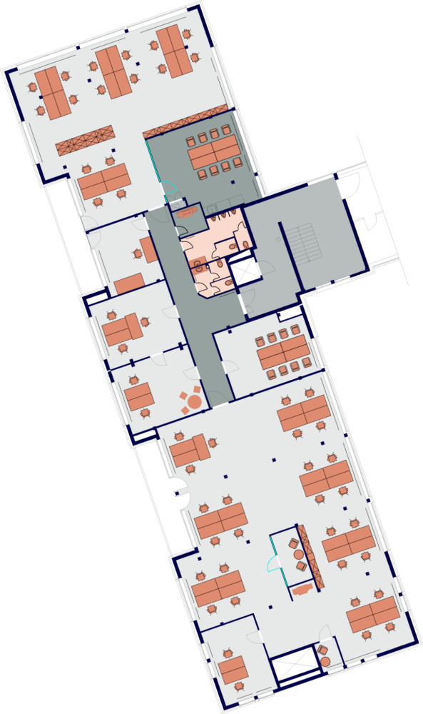 plan 593x1000